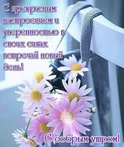 Избегай жары и бодро встречай день