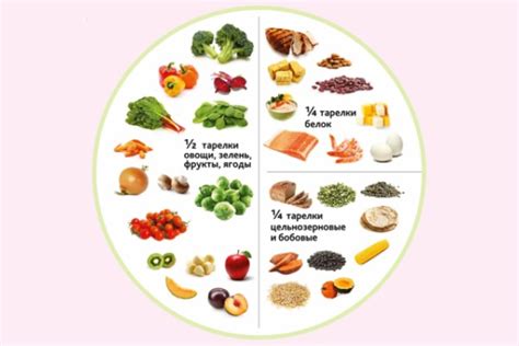 Изменение питания как метод борьбы с внутрижелудочным звуком