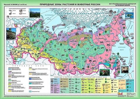 Изменение природных зон России