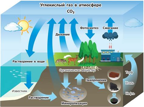 Изменение природных зон в результате деятельности человека