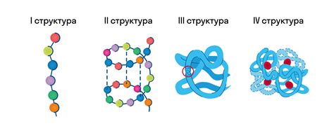 Изменение структуры белков