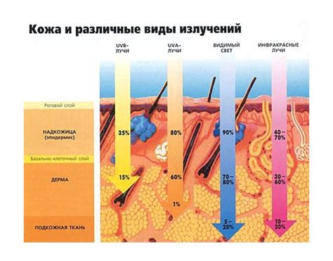 Изменения кожи после загара