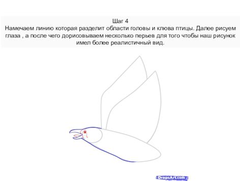 Изобразите детали головы и клюва