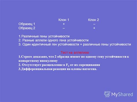 Изучение образца устойчивости и выдержки