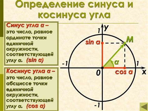 Изучение основ: что такое косинус окружности