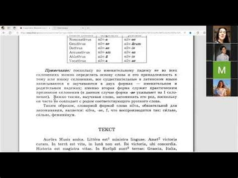 Изучение основ взмахивания