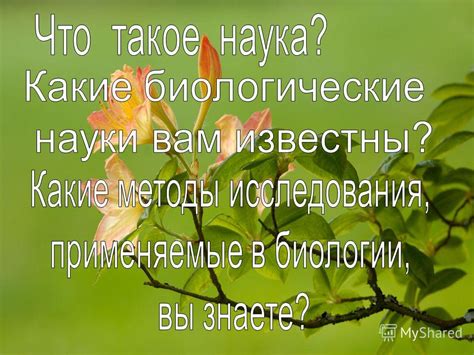 Изучение особенностей окружающего мира