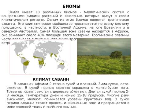 Изучение различных биомов и их особенностей
