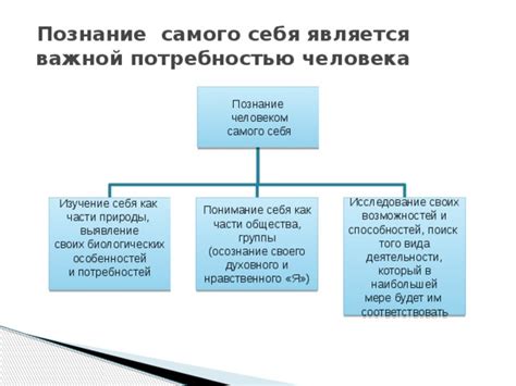 Изучение себя и своих предпочтений