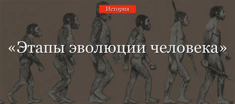 Изучение эволюции и происхождения человека