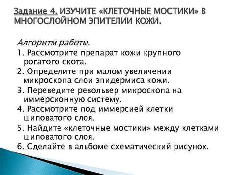 Изучите алгоритм работы