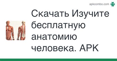 Изучите анатомию сома
