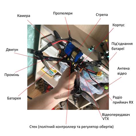 Из чего состоит дюралайт