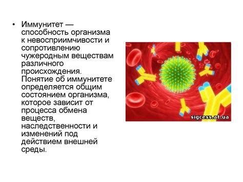 Иммунитет и его формирование без прививок