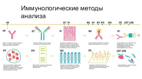 Иммунологические методы анализа крови