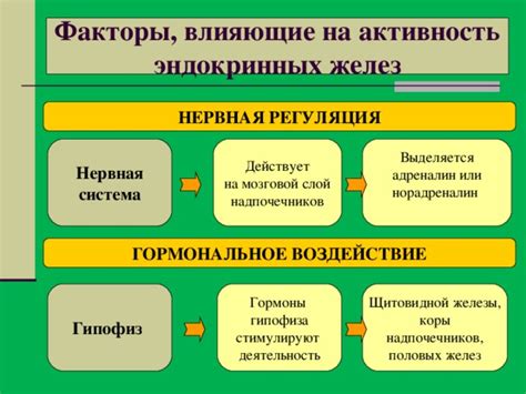 Импондерабельные факторы и гормональное неравновесие
