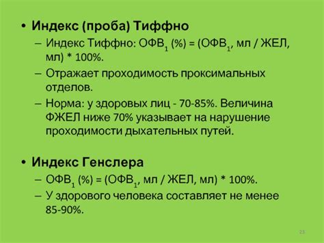 Индекс потока пикфлоуметрии в оценке фжел