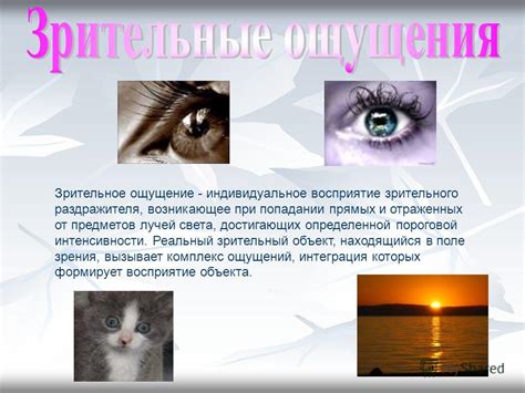 Индивидуальное восприятие снов