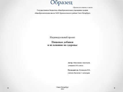 Инструкции по оформлению проекта: шаблон, примеры и советы