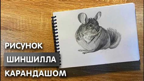 Инструкция для начинающих художников: Как нарисовать кощея