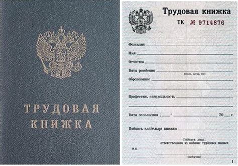 Инструкция по созданию бланка трудовой книжки и шаблонов
