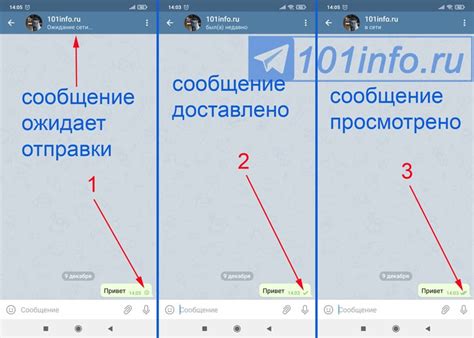 Инструкция по установке галочки в Telegram