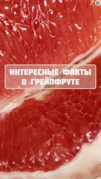 Интересные факты о слове "грейпфрут"