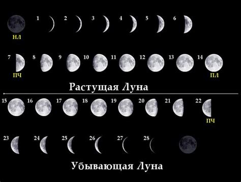 Интернет-ресурсы для определения фазы Луны