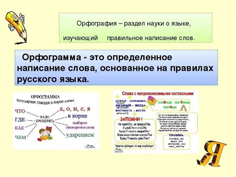 Информация о правильном написании слова "матросский"