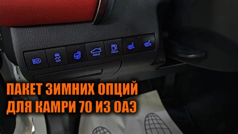 Ионизатор воздуха на Камри 70: как включить и настроить