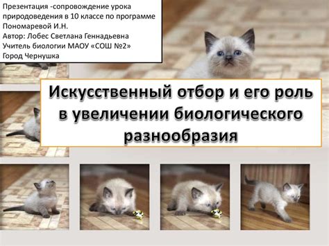 Искусственный звук и его роль в привлечении рыбы