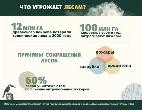 Использование Алисы в Казахстане