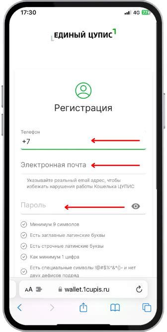 Использование ЦУПИС для определения минуса