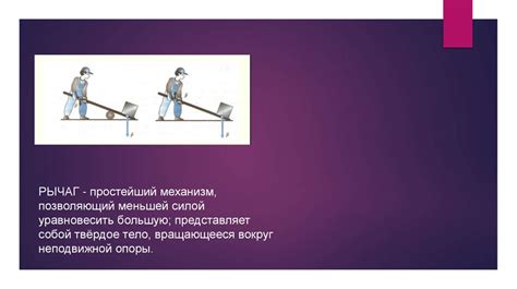 Использование весов Polaris в повседневной жизни