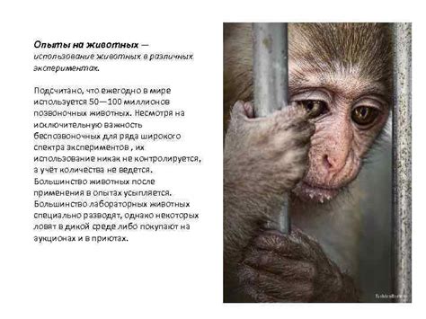 Использование в различных целях