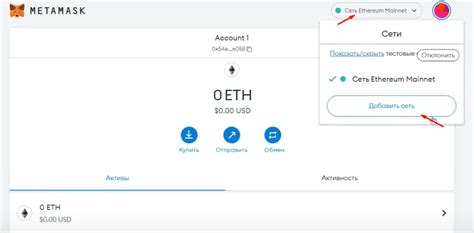 Использование интерфейса Метамаск для просмотра баланса