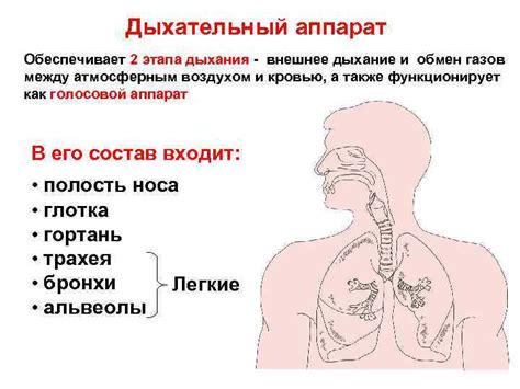 Использование правильной дыхательной техники