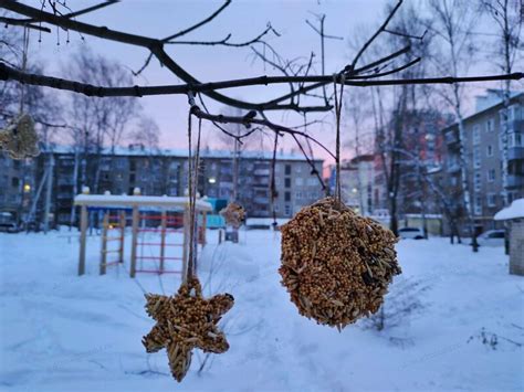 Использование природных материалов для привлечения птиц