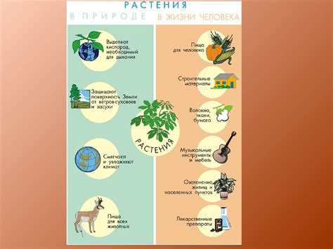 Использование растительности