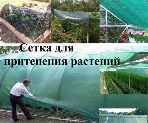 Использование сетки: