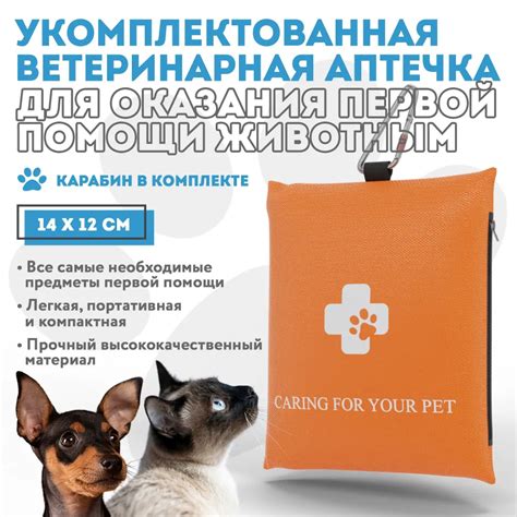 Использование специальных одежд и принадлежностей для собак