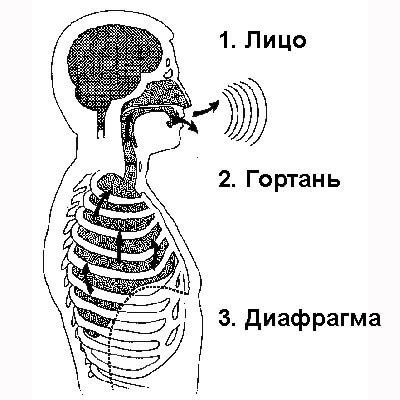 Использование специальных упражнений для голоса