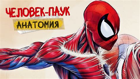 Использование способностей Человека-Паука