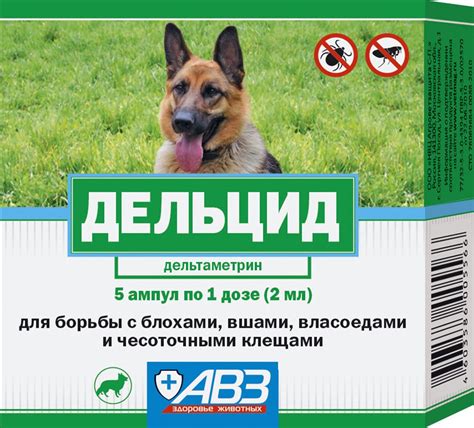 Использование химических препаратов для борьбы с вшами