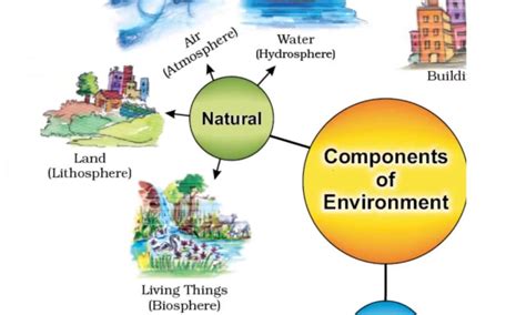 Использование environment "enumerate"