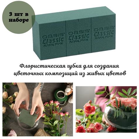 Используем подводную флористическую губку
