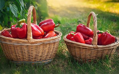 Используйте перец кэйенн
