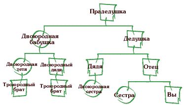 Исследование родословной - первый шаг в определении японского имени