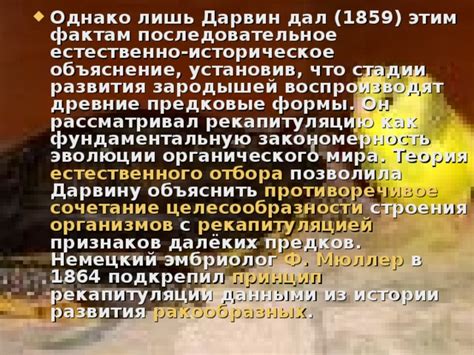 Историческое объяснение в названии персонажа