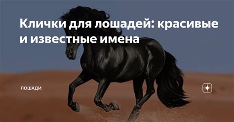 История и значение имени лошади Шамиля